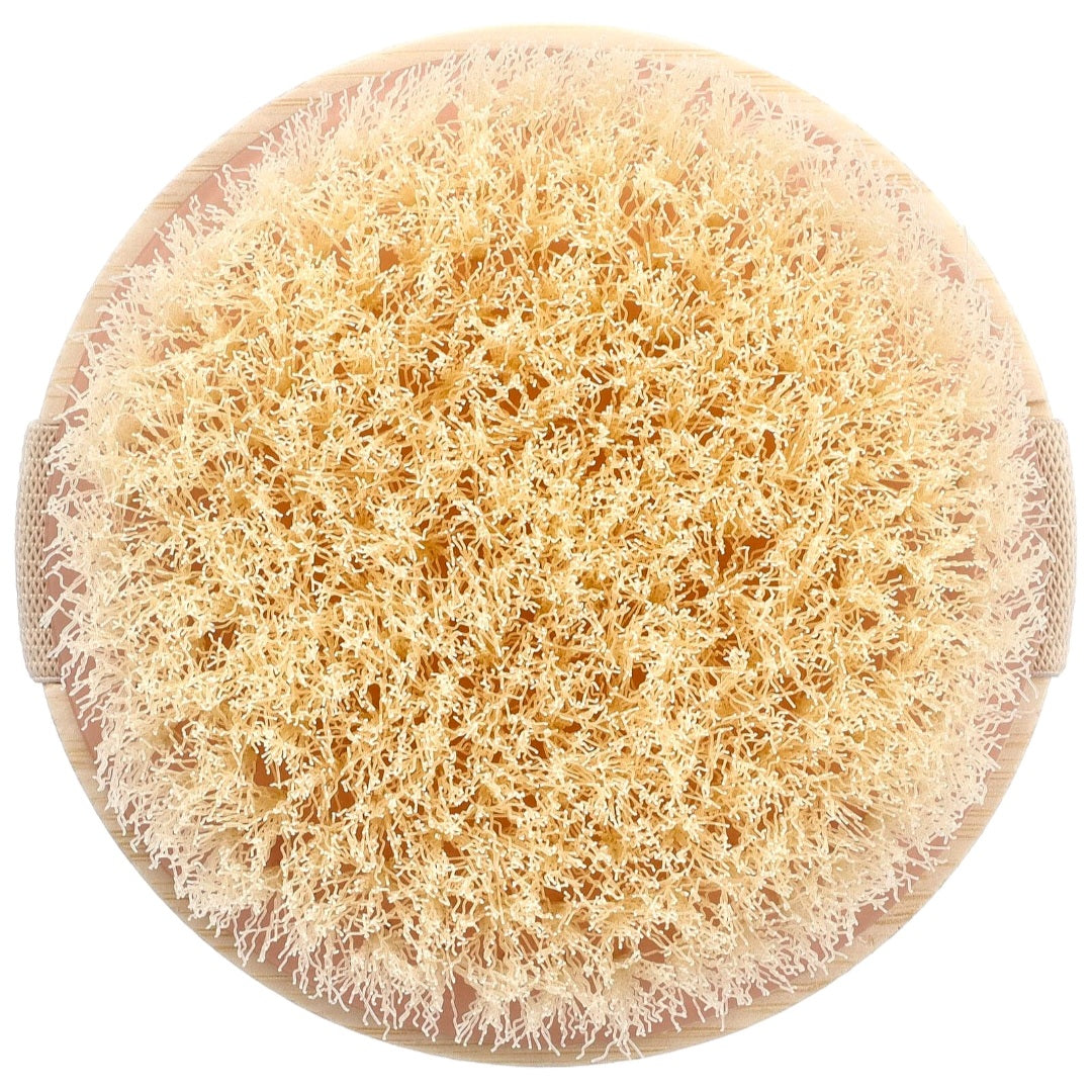 EcoTools, Dry Body Brush